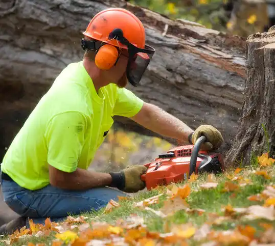 tree services Montreat